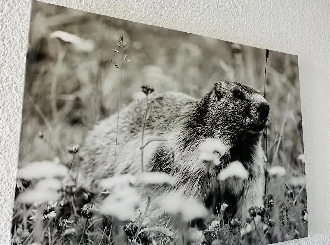 L'ansloboys Montagne J4 *